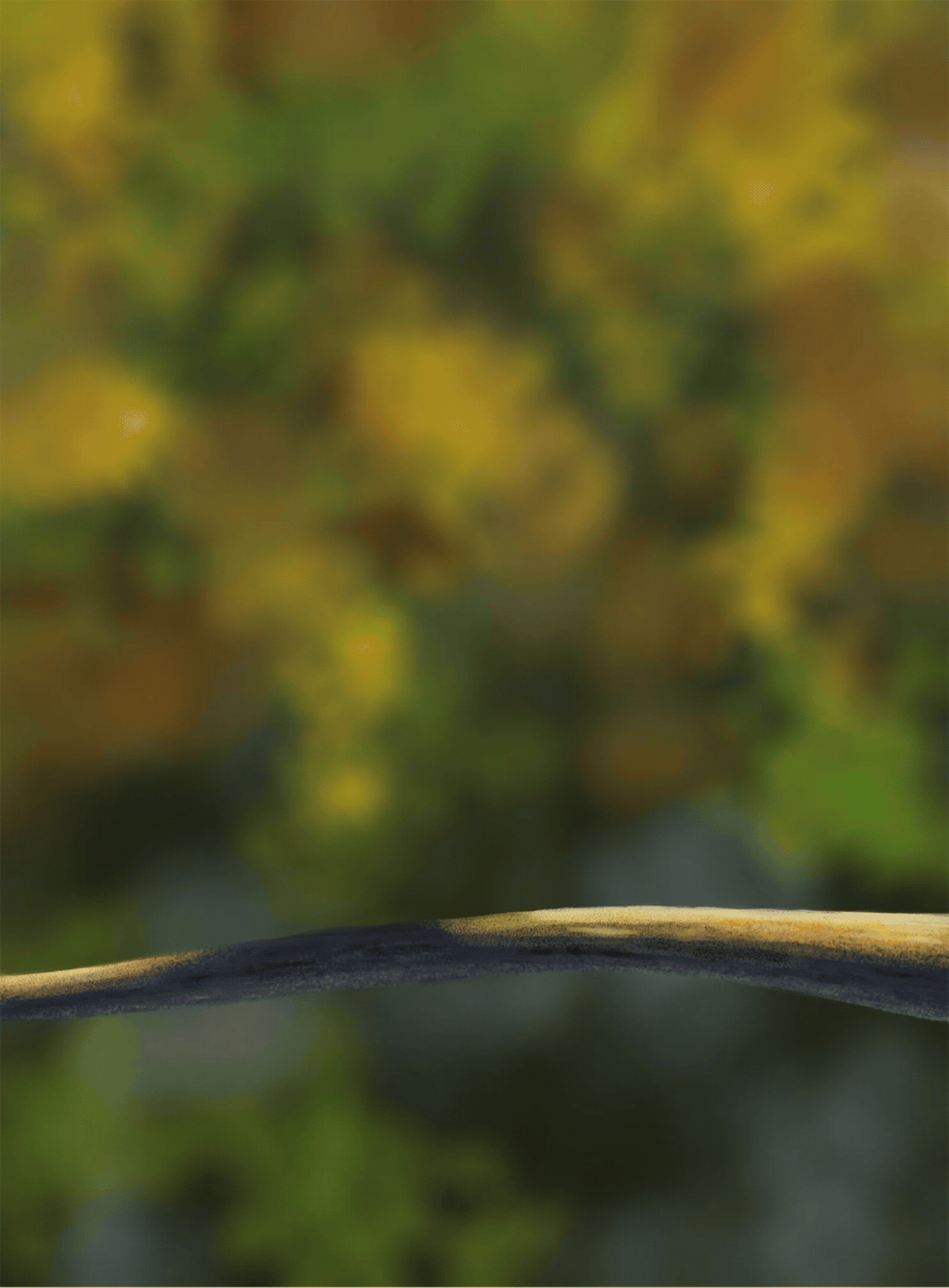 P1-Ch05-ex05 On termine enfin les pioupious! par Paméthyste