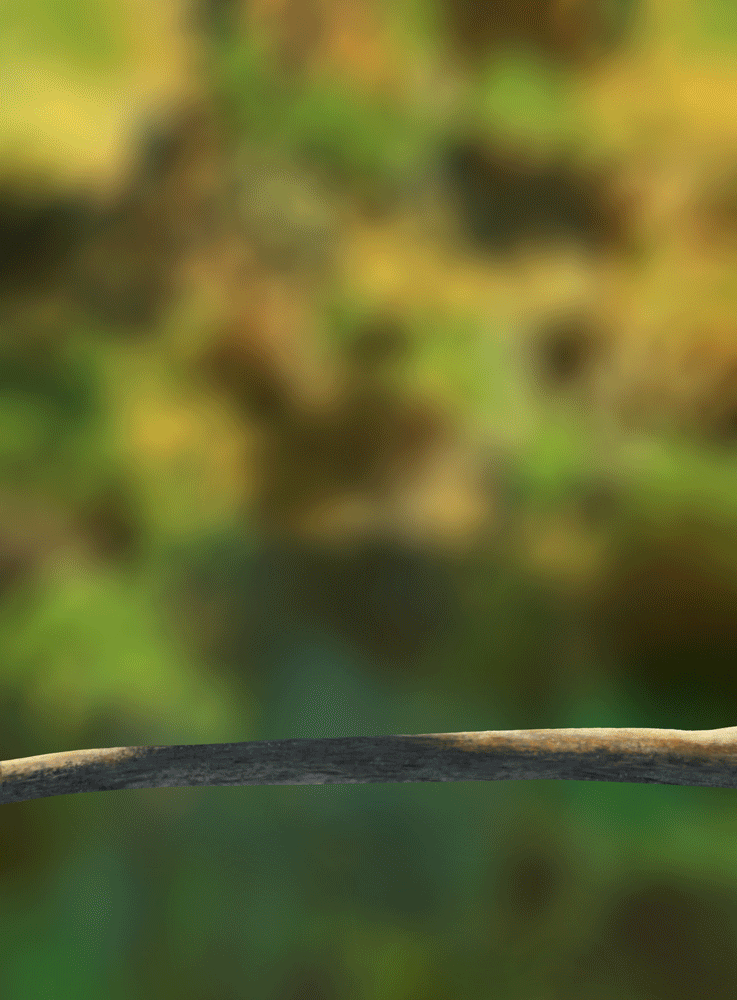 CHAPITRE 5, EXERCICE 5 : Les p'tits pious ! par Johnyfox