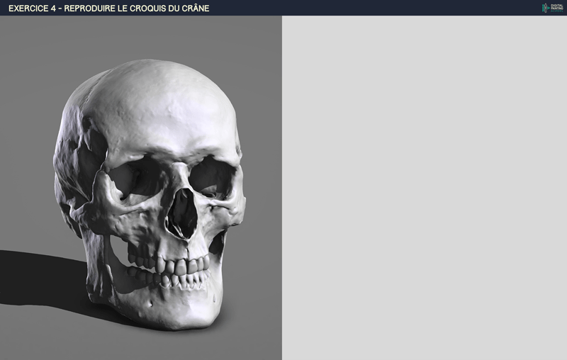 DPS-Prog-1-2-2-demo-crane-croquis par Horlod