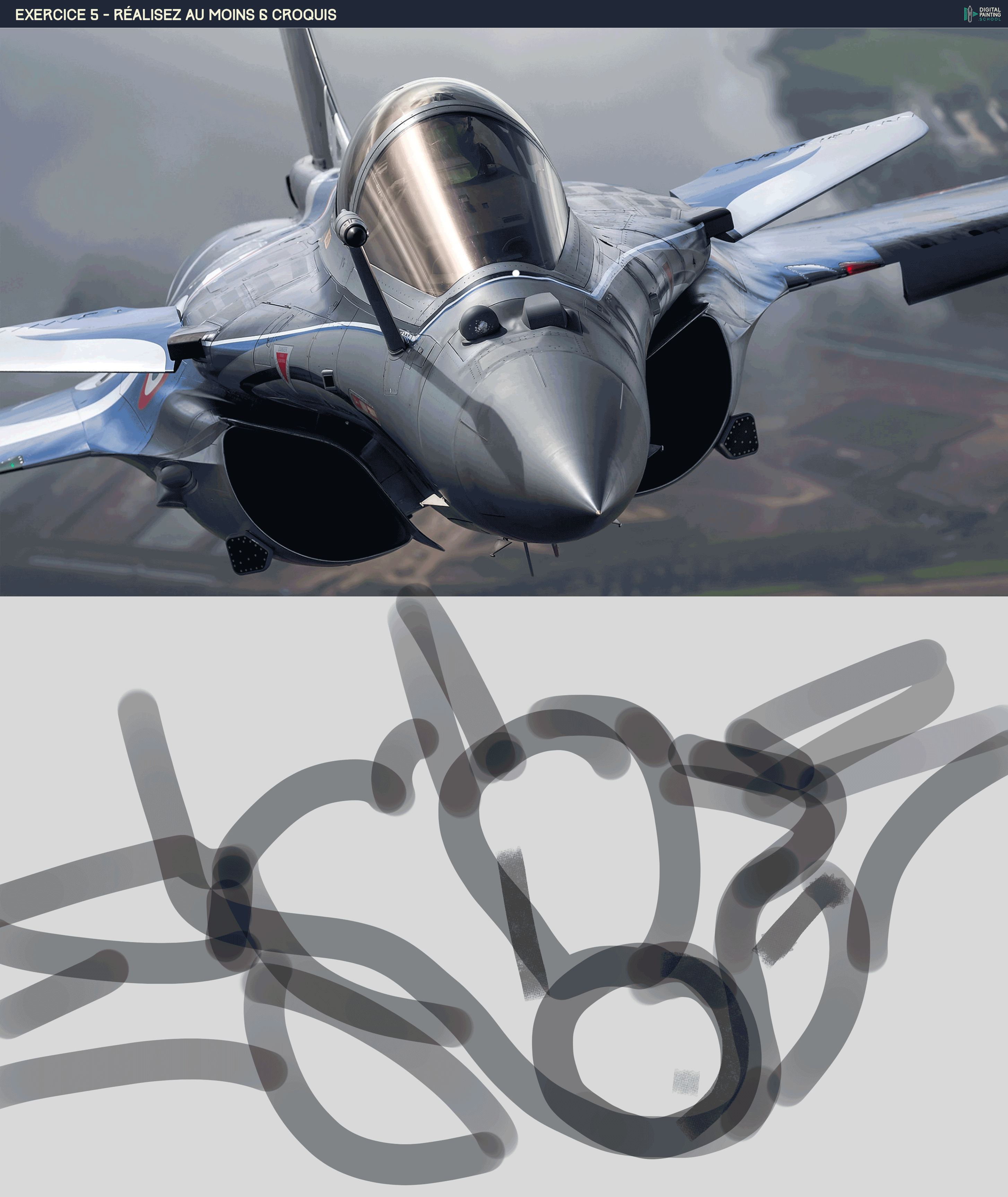 Rafale Solo Display 2018 par libertatau