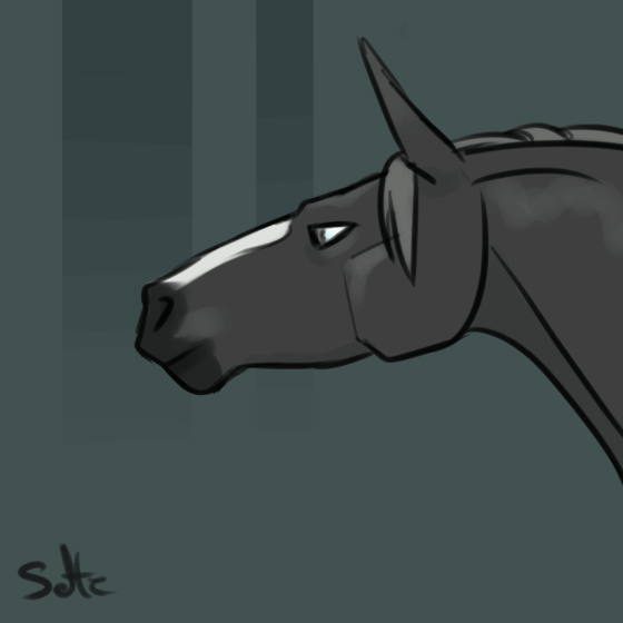 Horse par ElijahSelte