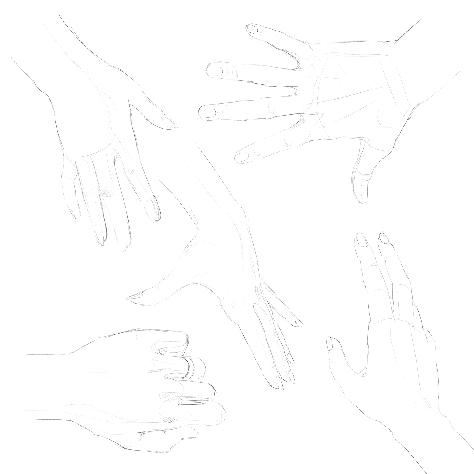 Hands study par julie lohen lecouffe