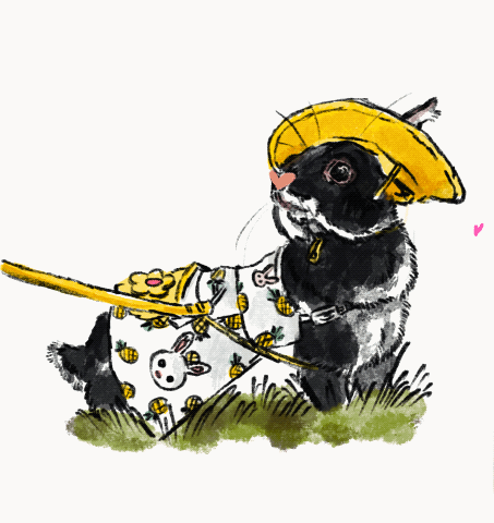 PeanutButter animation par mademoisellepiou