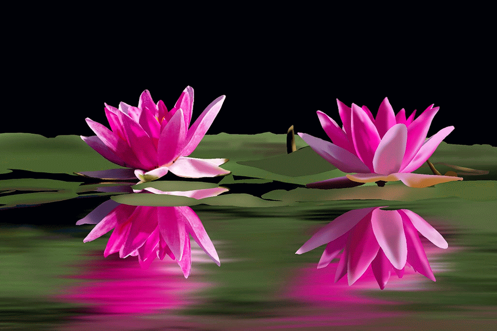 CHAP 1 - Les nénuphars par mylenelb