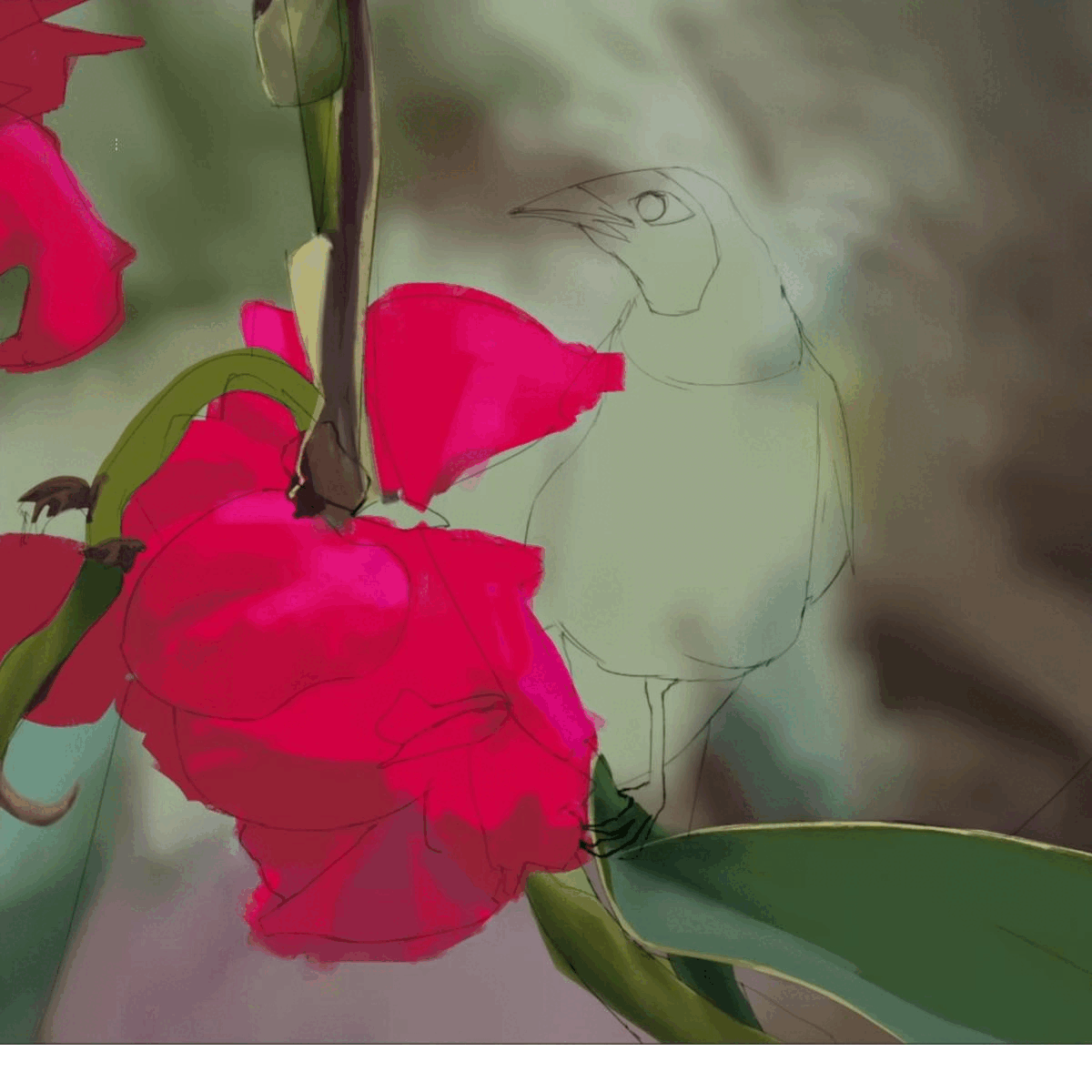 etude d'oiseau par Stygma