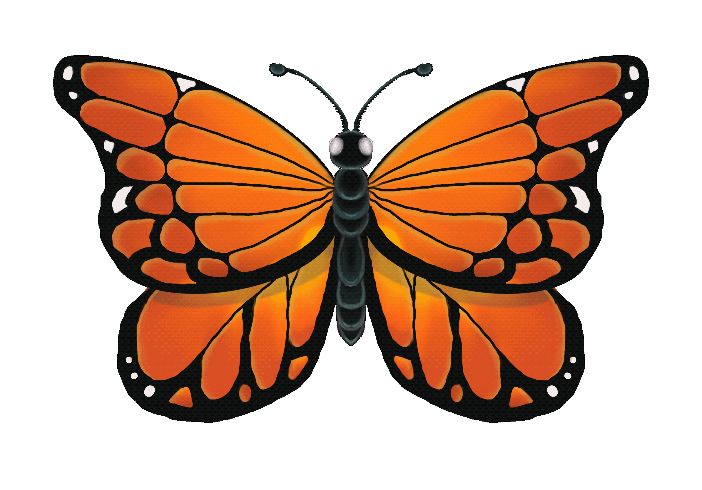 Exercices procreate par ladyryu