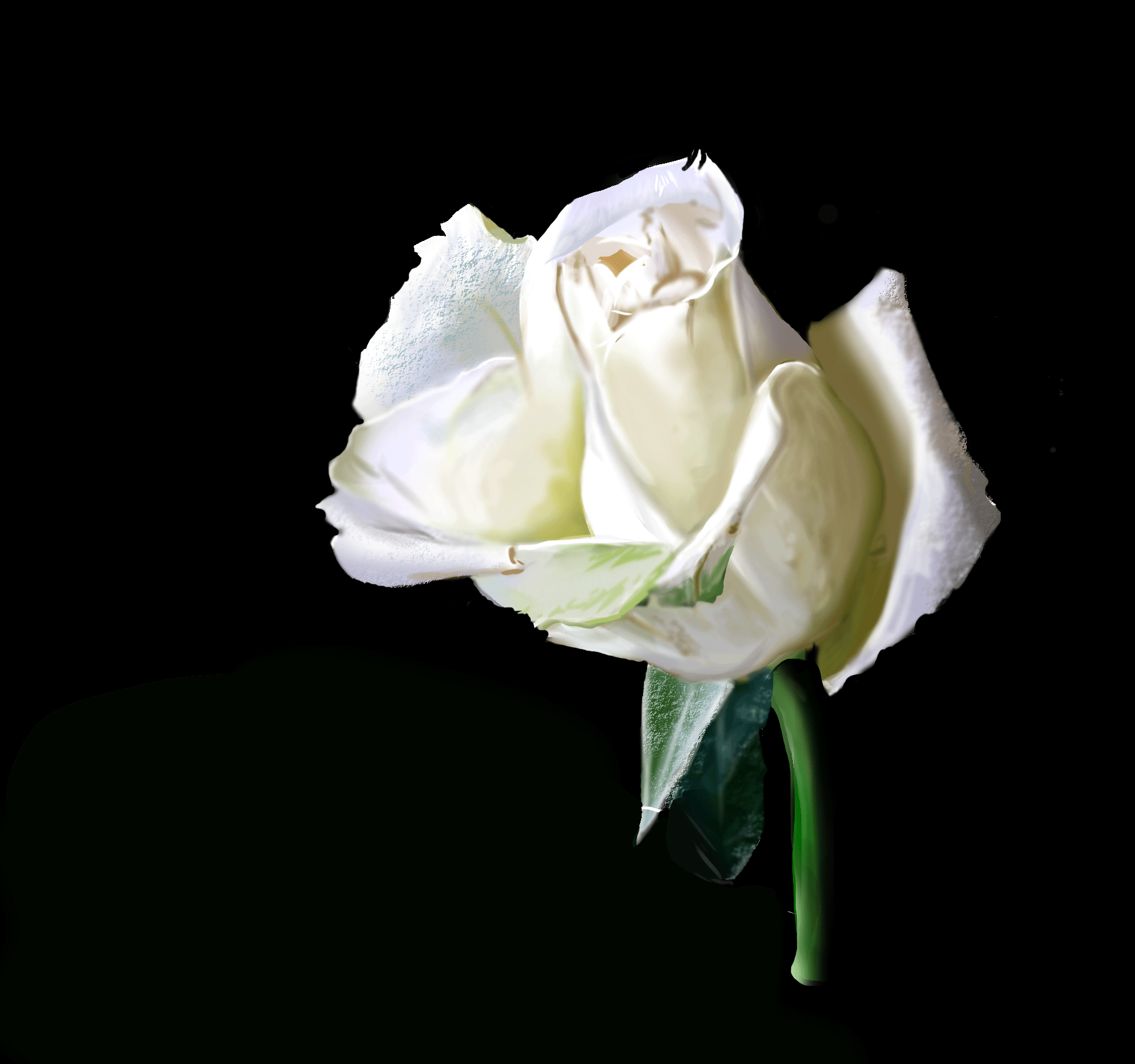 photo_exercice_lasso2-Récupéré par Gloupsys