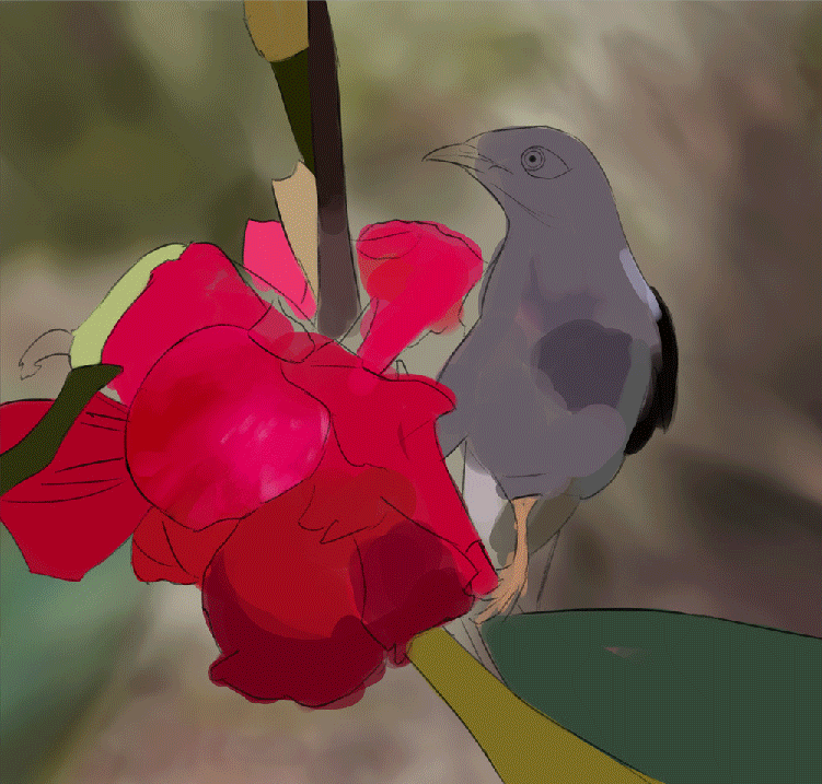 DPS-C5e4 par Encelade