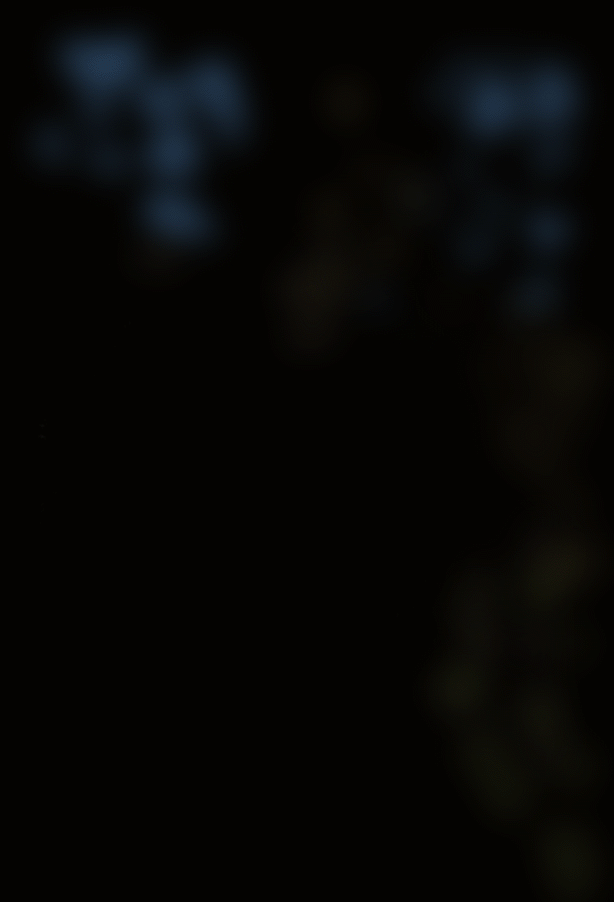 Etude d'Harpie féroce par Maja