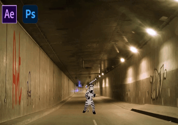 zebre par Ancien membre